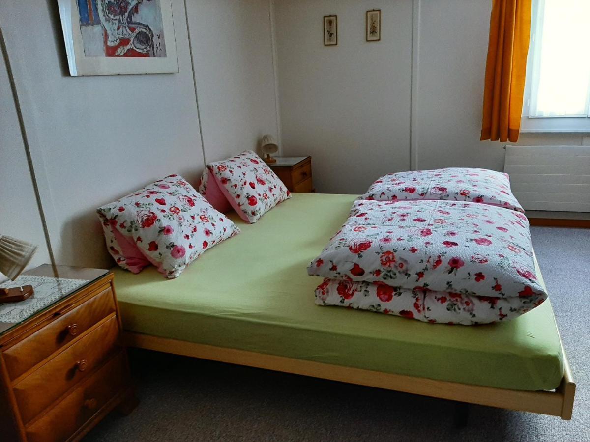 Casa Schuoler Apartment Дизентис Екстериор снимка